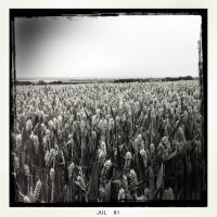 Schüleraustausch Ingatestone 2011