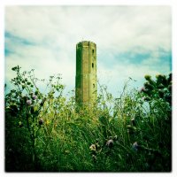 Schüleraustausch Ingatestone 2011