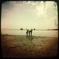 Schüleraustausch Ingatestone 2011