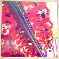 Schüleraustausch Ingatestone 2011