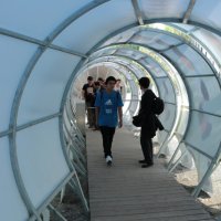 Comenius Projekt 2014