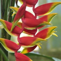 Comenius Projekt 2014