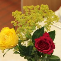 Comenius Projekt 2014