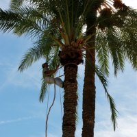 Comenius-Aufenthalt in Murcia / Molina de Segura 2014