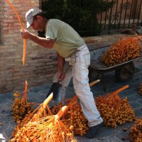 Comenius-Aufenthalt in Murcia / Molina de Segura 2014