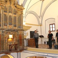 Comenius-Aufenthalt in Murcia / Molina de Segura 2014