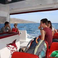 Comenius-Aufenthalt in Murcia / Molina de Segura 2014