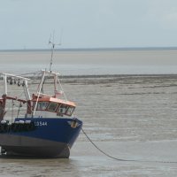 Englandaustausch 2014