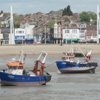 Englandaustausch 2014