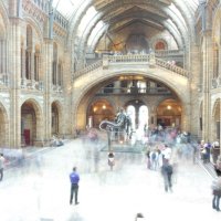 Englandaustausch 2015