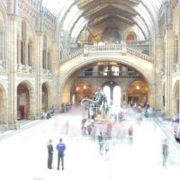 Englandaustausch 2015