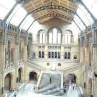 Englandaustausch 2015