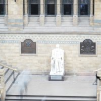 Englandaustausch 2015