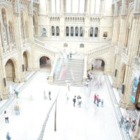 Englandaustausch 2015