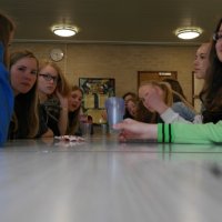 Englandaustausch 2015