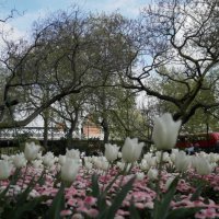 Englandaustausch 2015