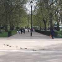 Englandaustausch 2015