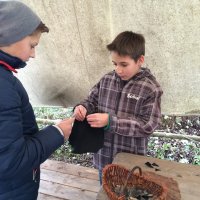 Exkursion nach Bad Buchau 2014