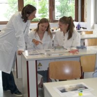 Genetischer Fingerabdruck 2014