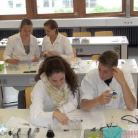 Genetischer Fingerabdruck 2014