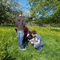 Naturlyrik - Jgst. 2 zu Besuch bei Frau Dillenz