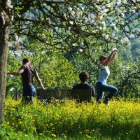 Naturlyrik - Jgst. 2 zu Besuch bei Frau Dillenz