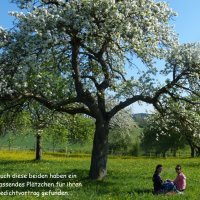 Naturlyrik - Jgst. 2 zu Besuch bei Frau Dillenz