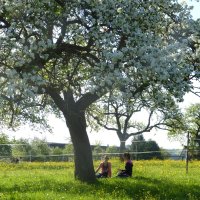 Naturlyrik - Jgst. 2 zu Besuch bei Frau Dillenz