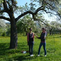 Naturlyrik - Jgst. 2 zu Besuch bei Frau Dillenz