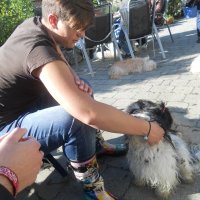 Naturlyrik - Jgst. 2 zu Besuch bei Frau Dillenz