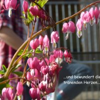 Naturlyrik - Jgst. 2 zu Besuch bei Frau Dillenz