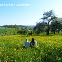 Naturlyrik - Jgst. 2 zu Besuch bei Frau Dillenz