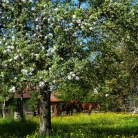 Naturlyrik - Jgst. 2 zu Besuch bei Frau Dillenz