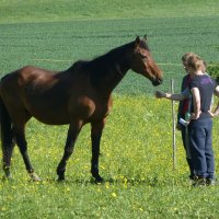 Naturlyrik - Jgst. 2 zu Besuch bei Frau Dillenz