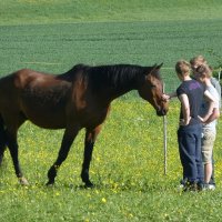 Naturlyrik - Jgst. 2 zu Besuch bei Frau Dillenz
