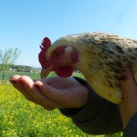 Naturlyrik - Jgst. 2 zu Besuch bei Frau Dillenz