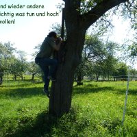 Naturlyrik - Jgst. 2 zu Besuch bei Frau Dillenz