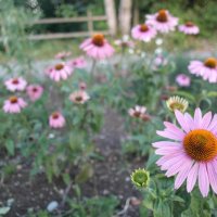 Projekttage 2015: Donautalwanderung