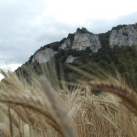 Projekttage 2015: Donautalwanderung