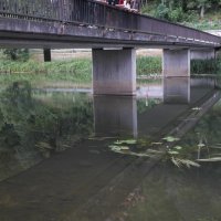 Projekttage 2015: Donautalwanderung