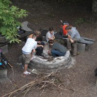 Projekttage 2015: Donautalwanderung