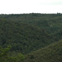 Projekttage 2015: Donautalwanderung