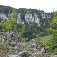 Projekttage 2015: Donautalwanderung