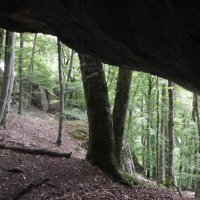 Projekttage 2015: Donautalwanderung