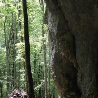 Projekttage 2015: Donautalwanderung