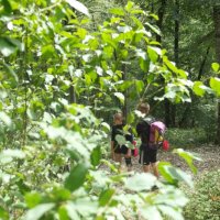 Projekttage 2015: Donautalwanderung