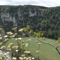 Projekttage 2015: Donautalwanderung