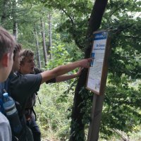 Projekttage 2015: Donautalwanderung