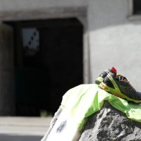 Projekttage 2015: Donautalwanderung