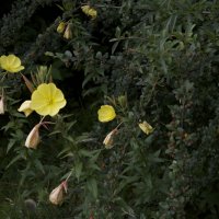 Projekttage 2014: Fotografie